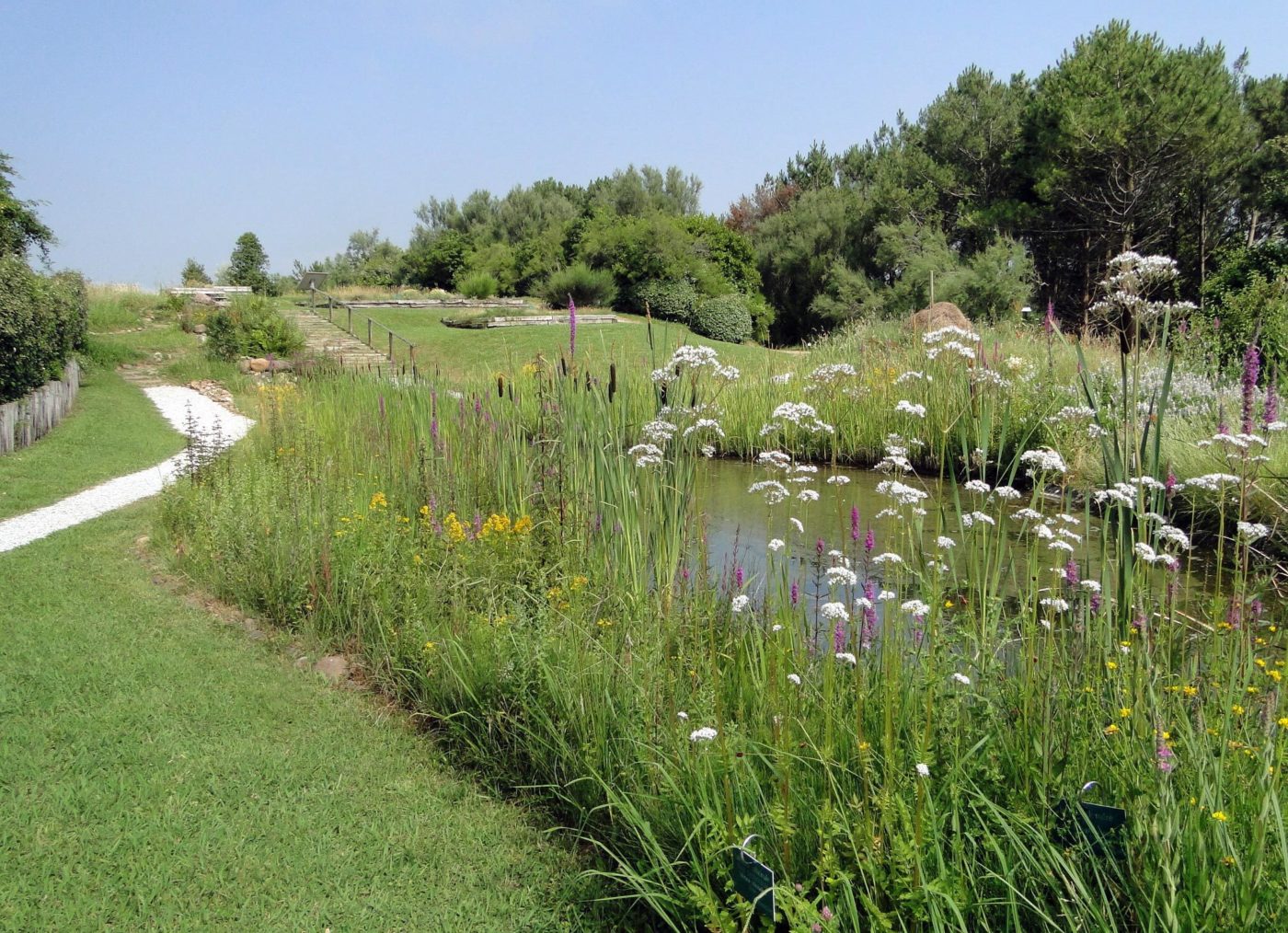 Prairie Fauche