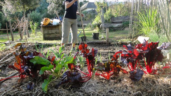 Atelier Jardinage