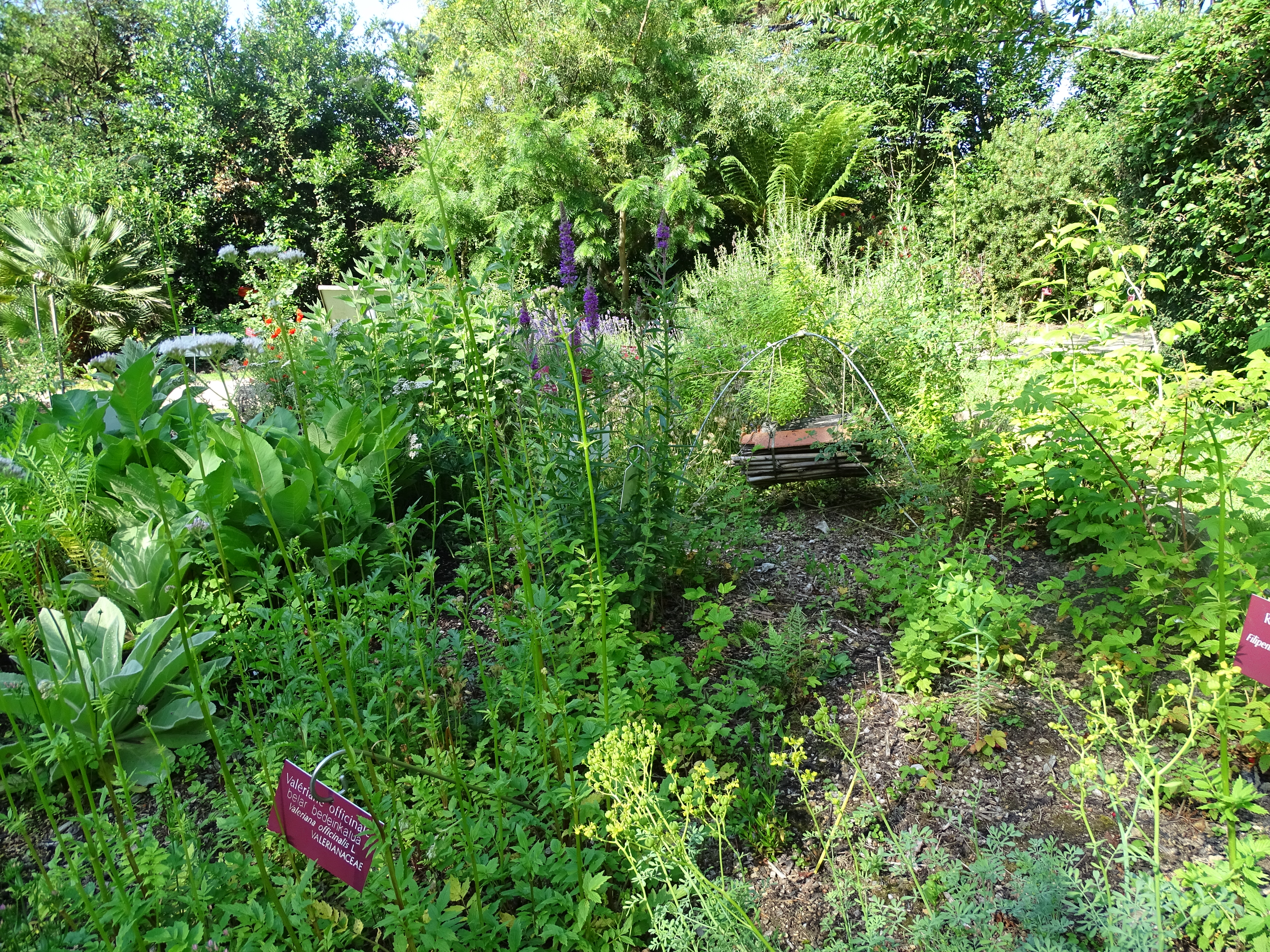 Le jardin - Saint-Jean-de-Luz