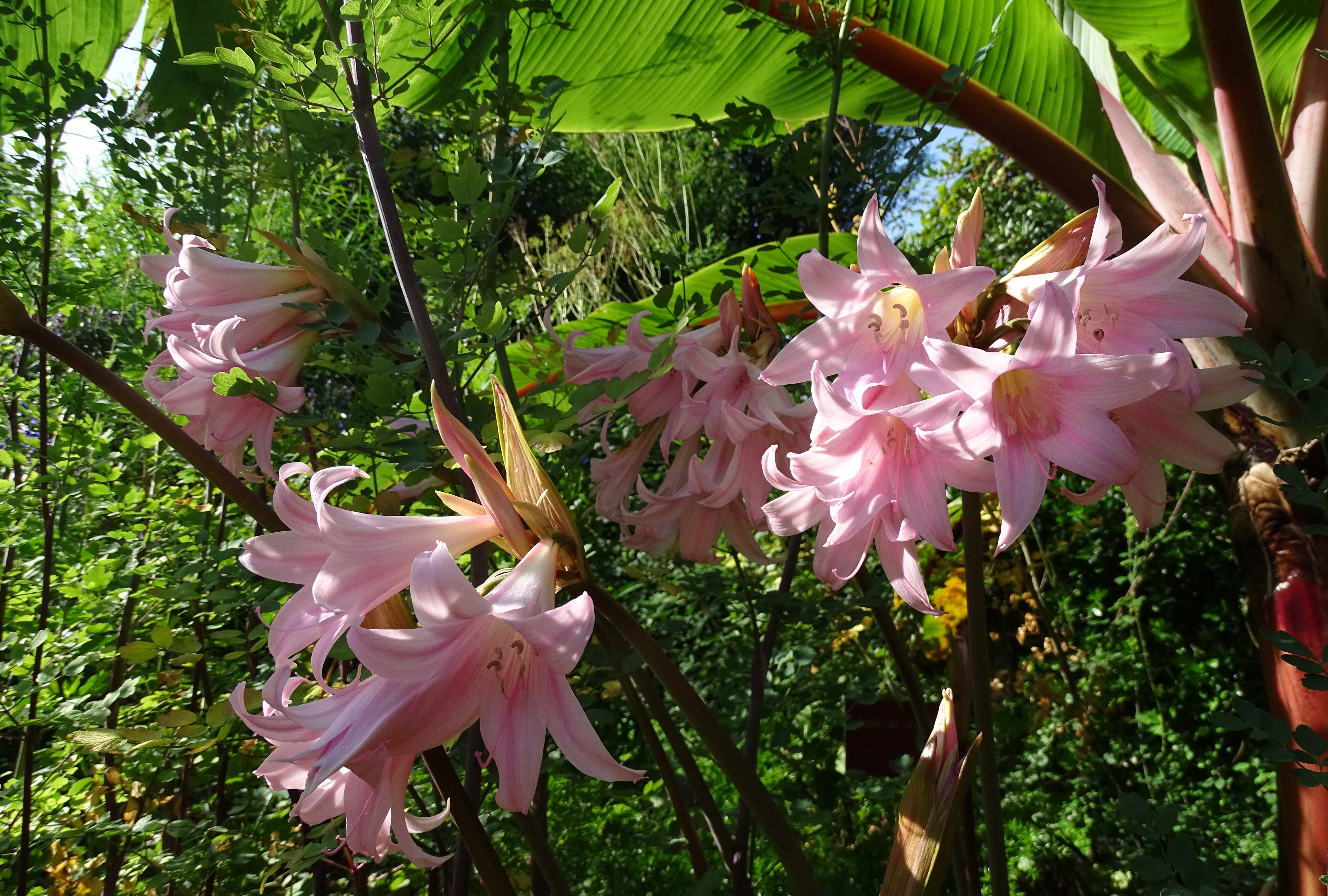 Missions - Saint-Jean-de-Luz
