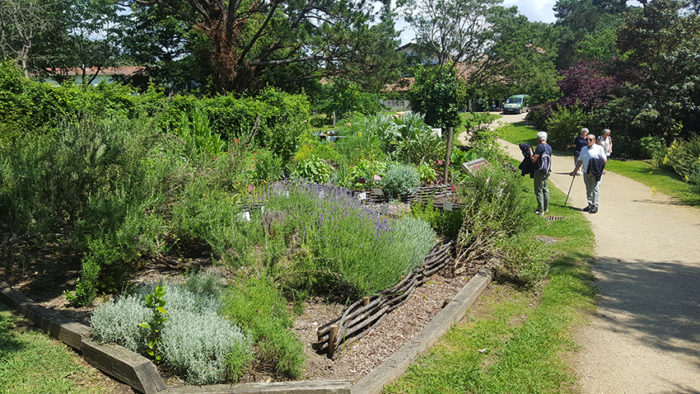 20180524 Jardin Botanique Sjdl2 (2)