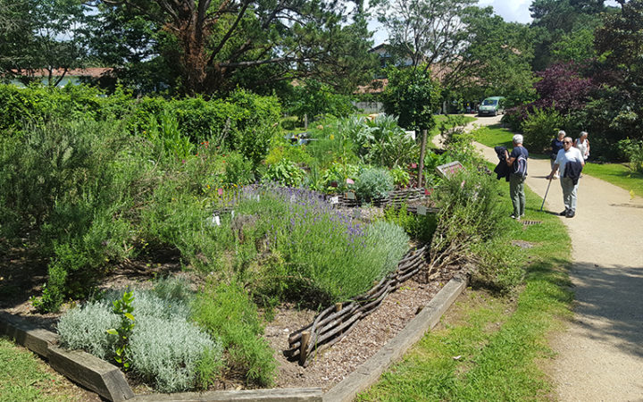 20180524 Jardin Botanique Sjdl2 (2)