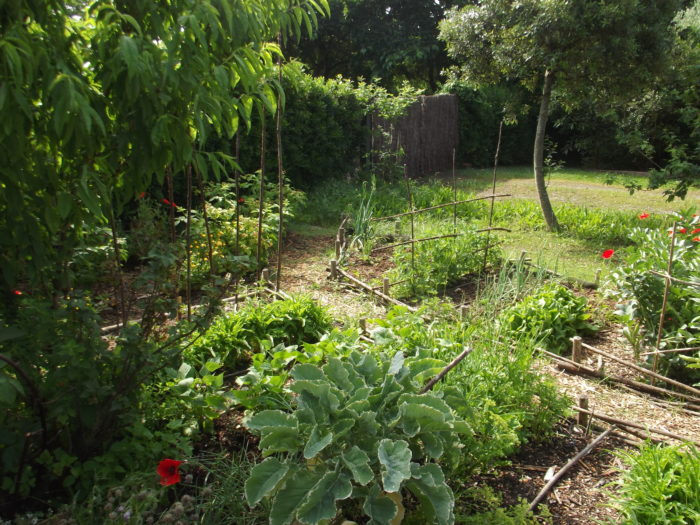 Les Rendez Vous Du Petit Potager (4)
