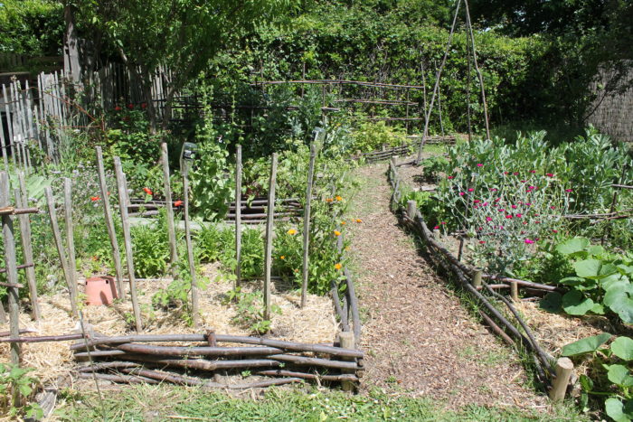 Jardin-Botanique-Petit-potager