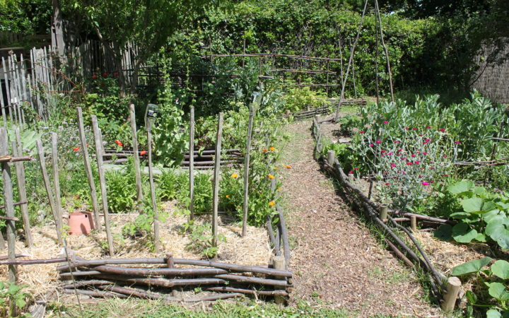 Jardin-Botanique-Petit-potager