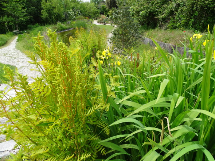 Visite Guidée Jardin Botanique Littoral De Saint Jean De Luz Journées Européennes Du Patrimoine
