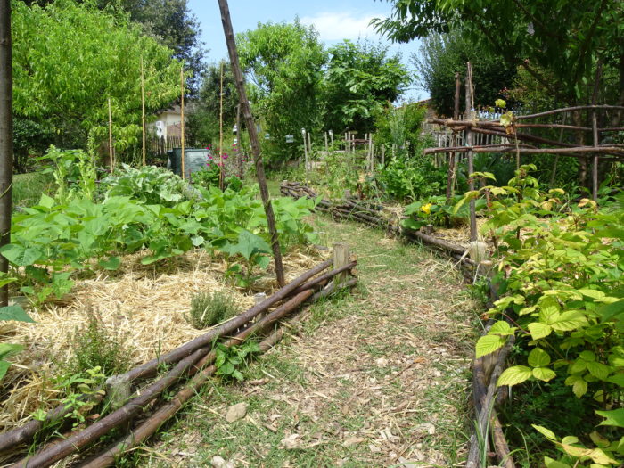 Atelier Autour Du Potager La Préparation Au Repos Hivernal 14 09 19 Jb