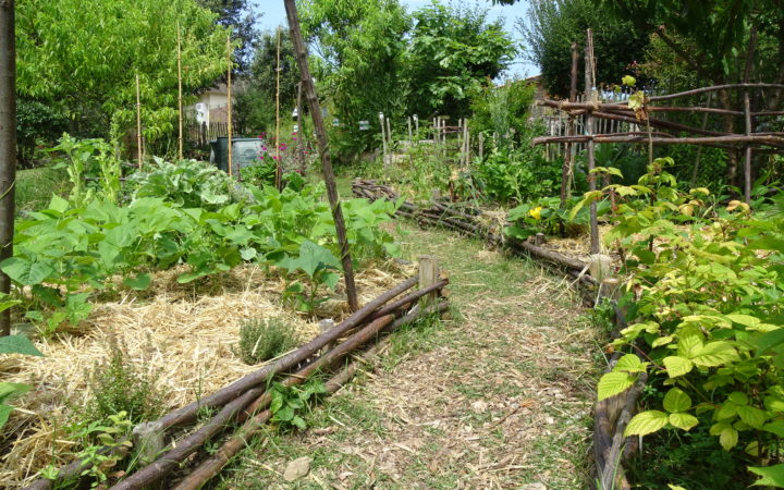 Atelier Autour Du Potager La Préparation Au Repos Hivernal 14 09 19 Jb