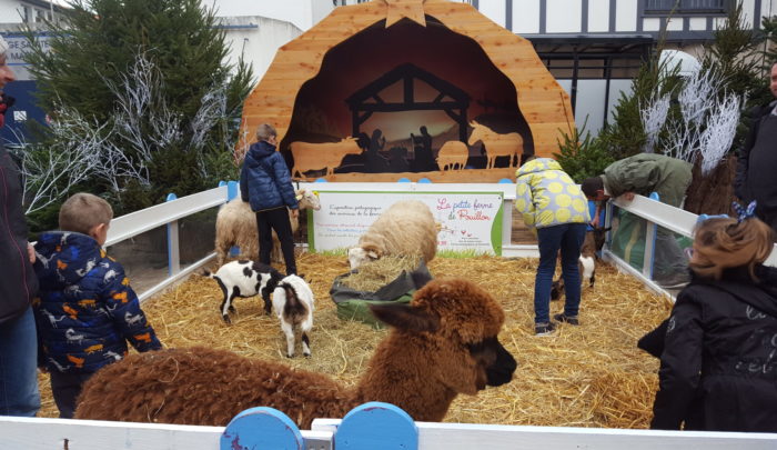 2019 12 22 Crèche Noël