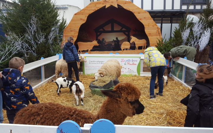 2019 12 22 Crèche Noël