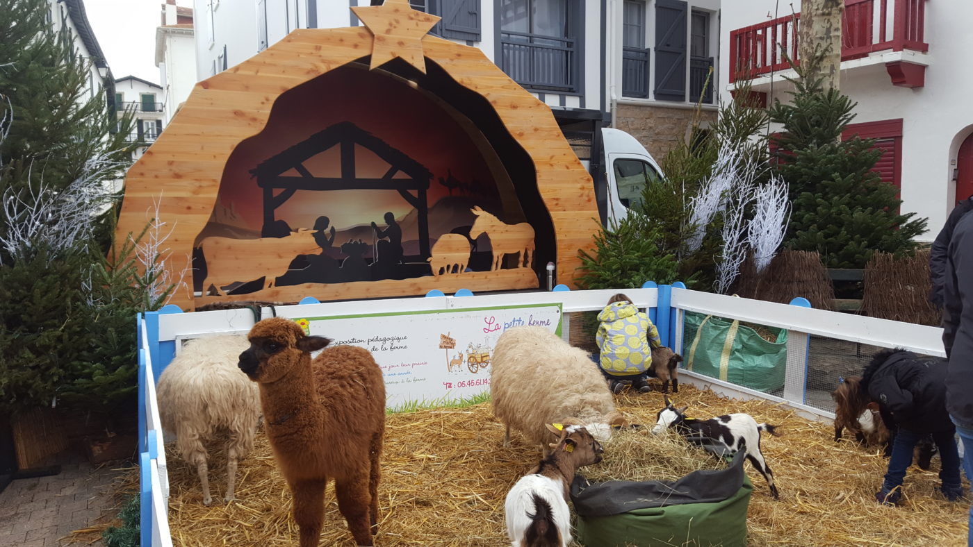 2019 12 22 Crèche Noël8