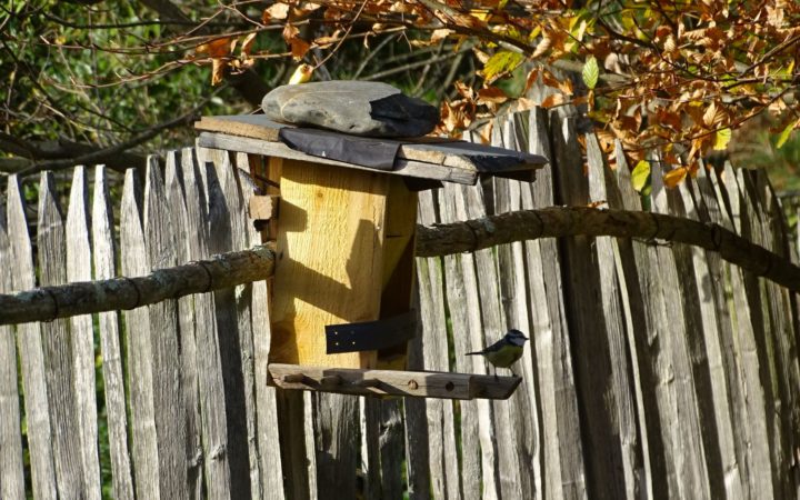 Atelier Nourrissage Oiseaux Hiver 03 10 2020