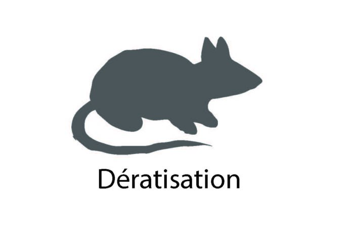 Dératisation Illustration