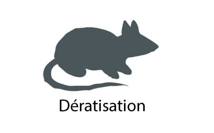 Dératisation Illustration