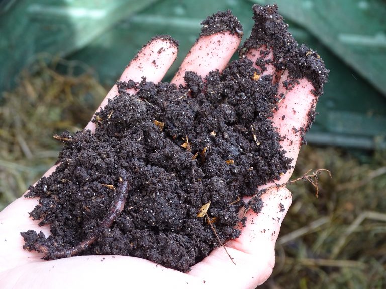 Faire du compost sur son balcon : le lombricompostage ! - Saint