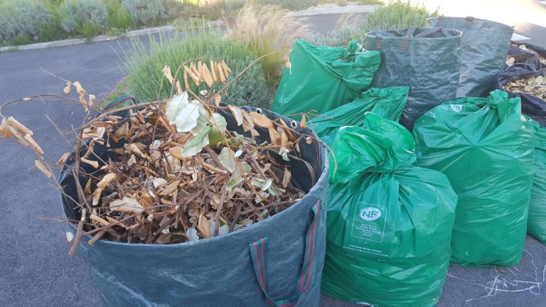 Déchets verts