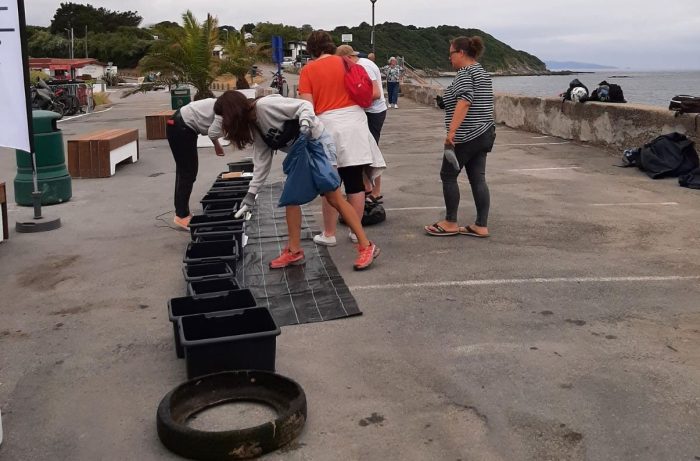 Journée Ramassage Déchets3