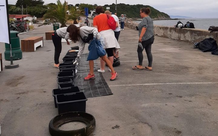 Journée Ramassage Déchets3