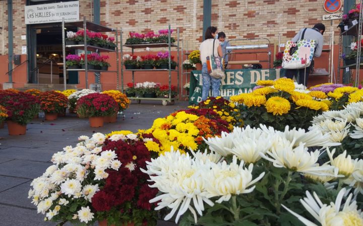 Toussaint Vente Fleurs