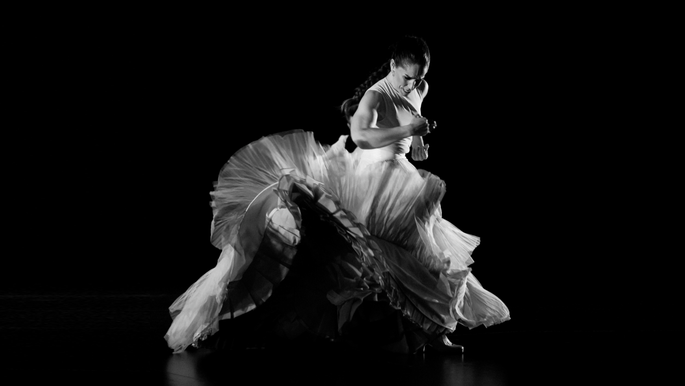 Exposition résonances du flamenco SaintJeandeLuz