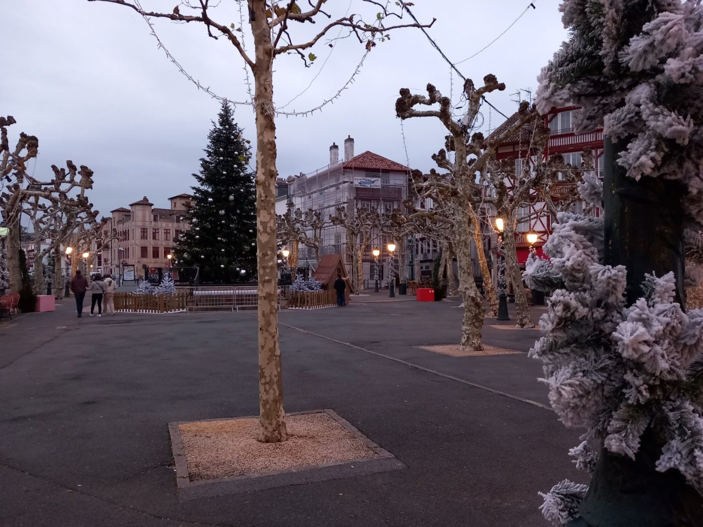 20231124 Illumination Noël Installation