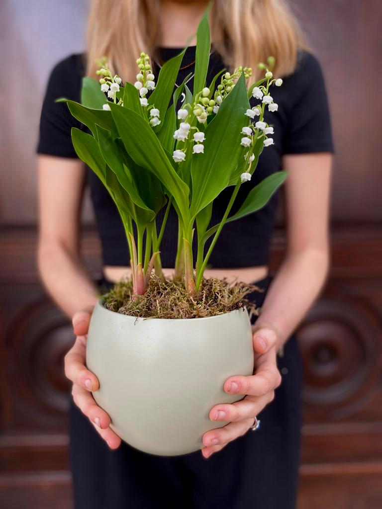 Du muguet pour le 1er mai - Saint-Jean-de-Luz