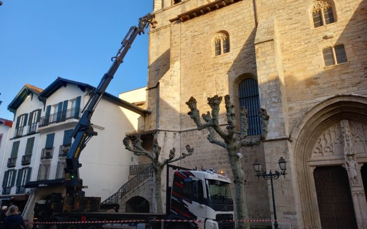 20250226 Démontage Cloche