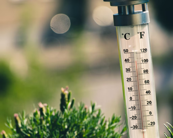 Canicule 2