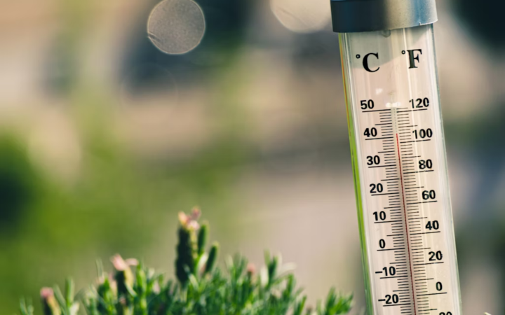 Canicule 2
