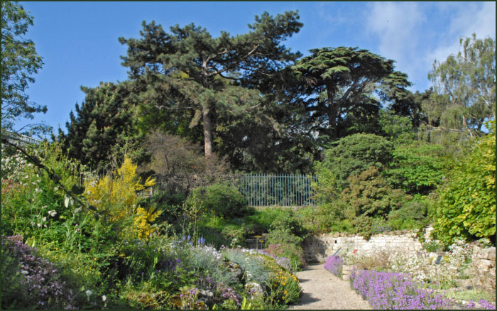Le Jardin Alpin