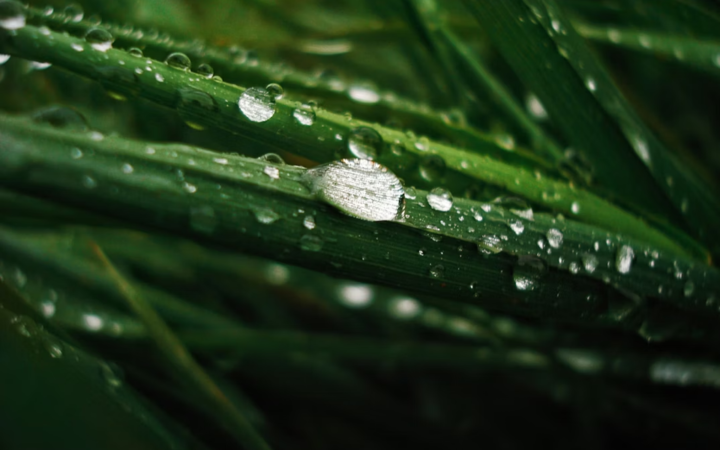 Eau De Pluie