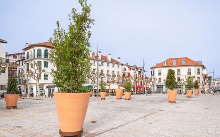 Komcebo Arbres Place Foch Hd 0001