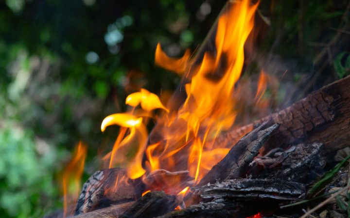 Igniting The Fire In The Forest For Camping.
